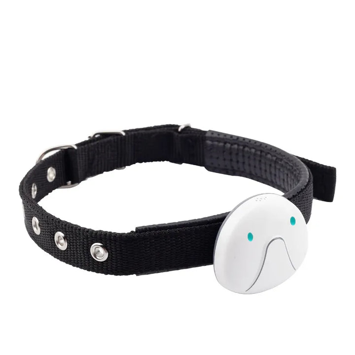 GPS dog tracker collar glowing, indicating active tracking and battery status