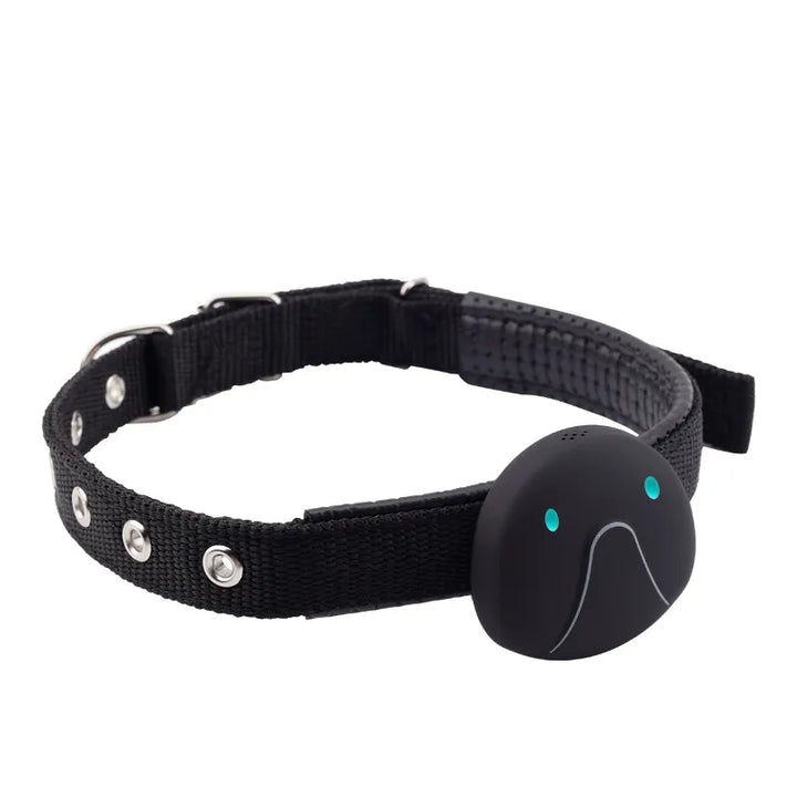 Multiple GPS dog tracker collars in various sizes, showing options for all dog breeds