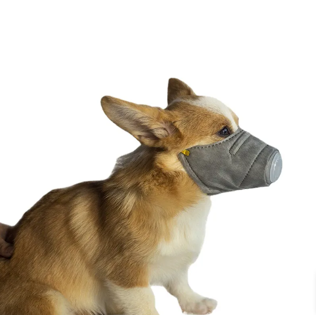 Gray breathable dog mask with air valve for allergy protection, canine safety, and outdoor use