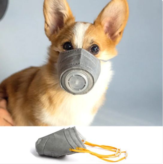Canine wearing gray dog mask with air valve, ensuring safety and comfort during walks