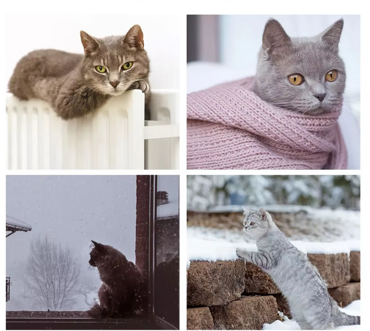 Cat enjoying a nap on a gray window perch hammock, providing a high vantage point for pets