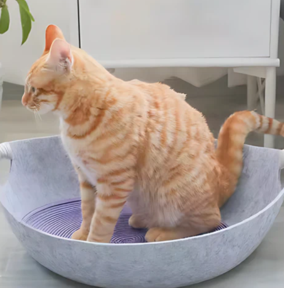 High-quality felt cat bed in pink with ergonomic handles, ideal for a portable pet accessory.