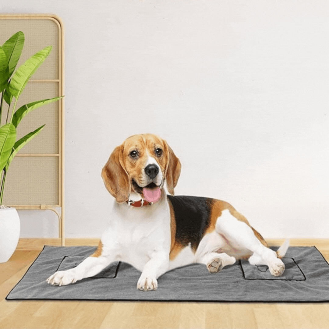Close-up of gray microfiber pet towel texture, highlighting its super absorbent and fast-drying qualities.