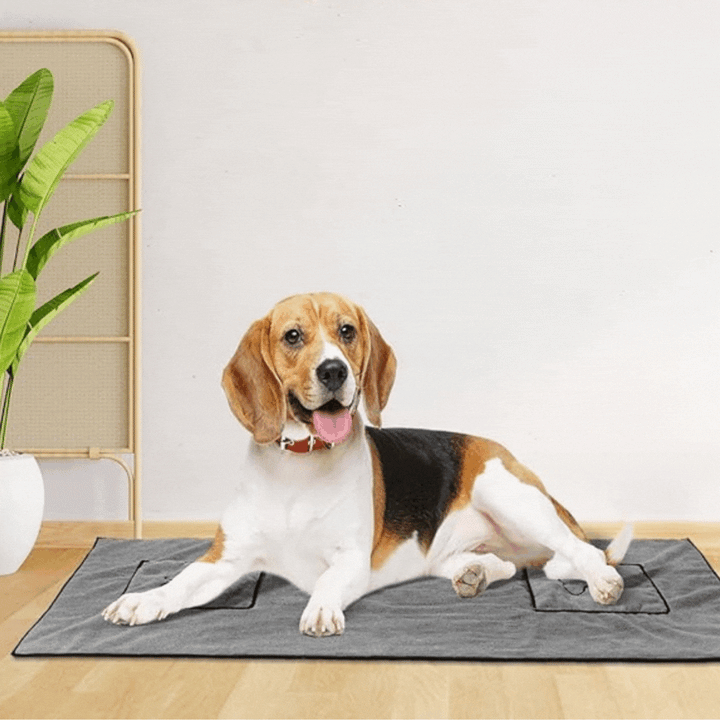 Close-up of gray microfiber pet towel texture, highlighting its super absorbent and fast-drying qualities.