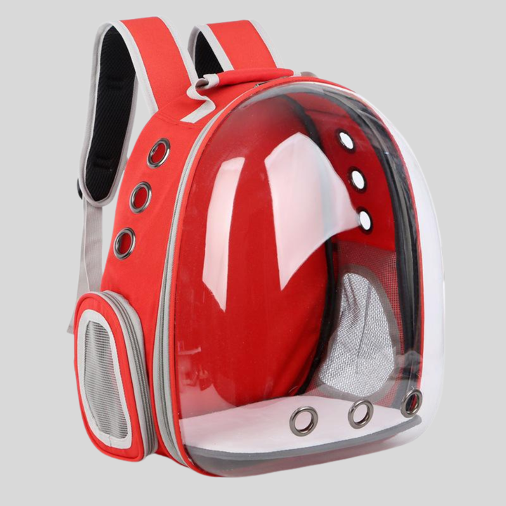 Gray pet carrier backpack for small cats and dogs, front view, breathable mesh, comfortable pet travel.