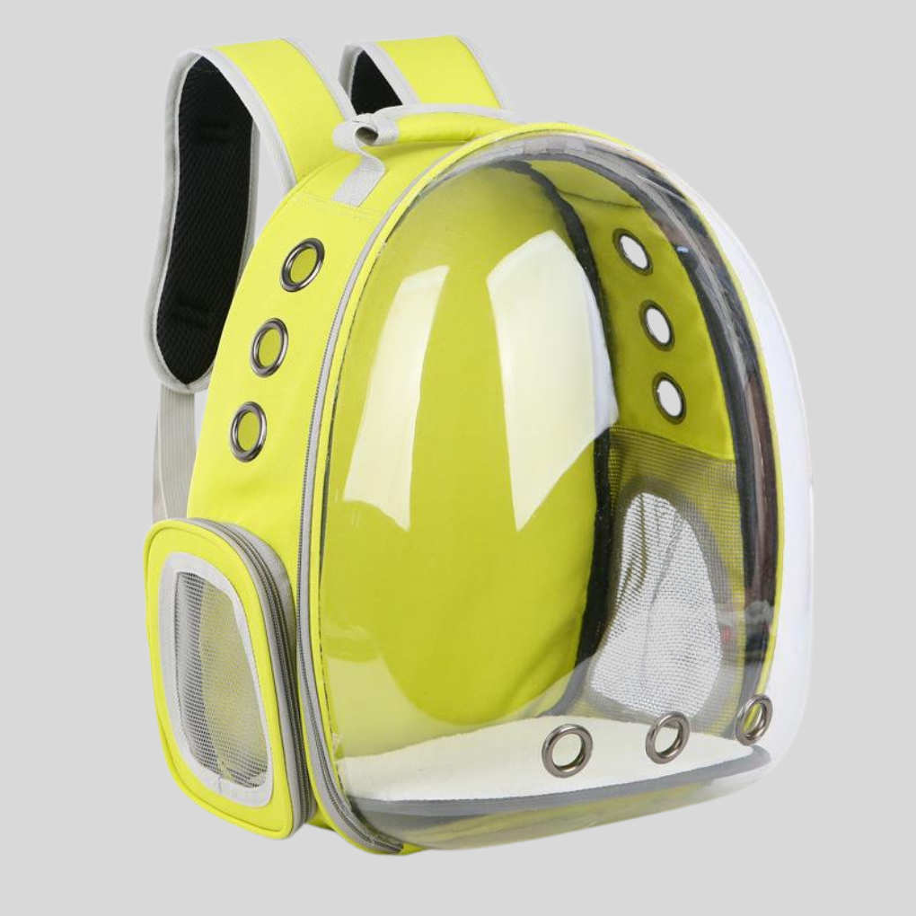Cute small dog peeking out of a pink pet carrier backpack, ideal for outdoor pet gear and travel.