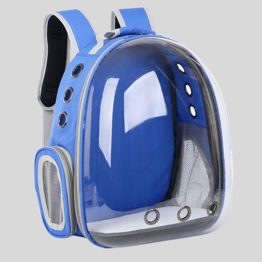 Woman hiking with a blue pet carrier backpack on her back, showing a comfortable and secure small cat travel option.