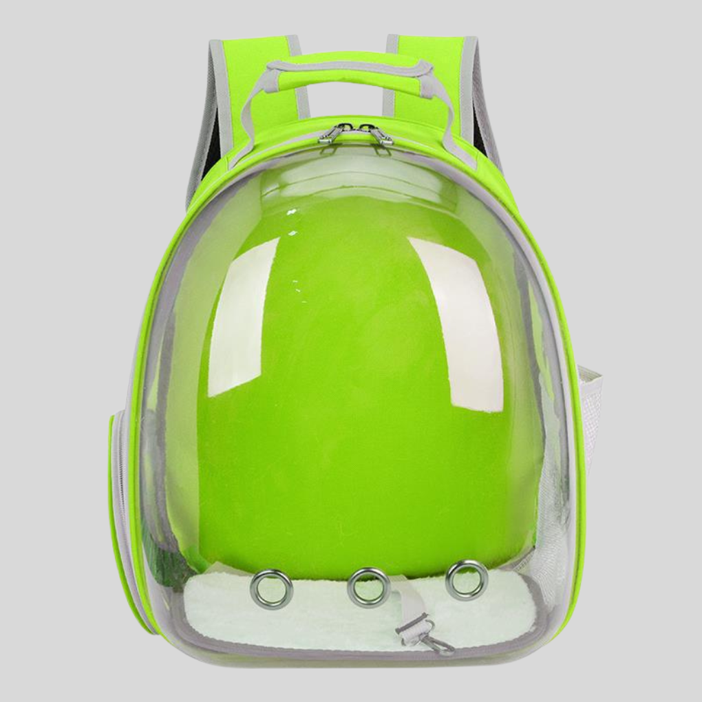 Interior view of a spacious pet carrier backpack, soft bedding for a small dog or cat travel comfort.
