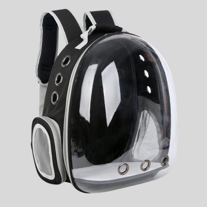 Pet carrier backpack in a car seat, secured with a seatbelt, safe pet travel for small dogs and cats.