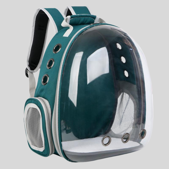 Small cat comfortably resting inside a green pet carrier backpack, perfect for pet travel and adventures.