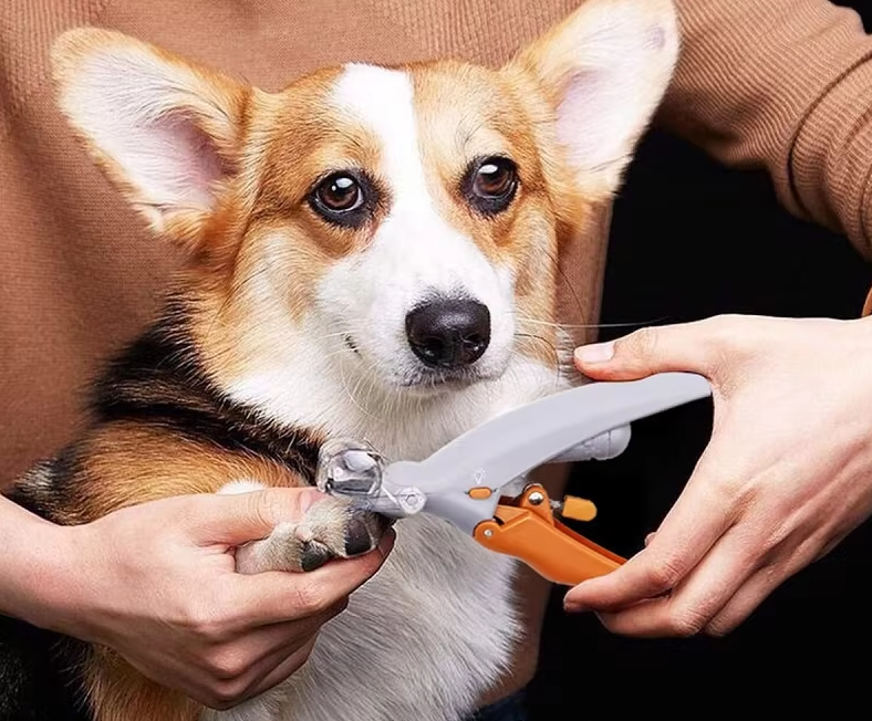 Gray pet nail clippers with LED light & magnifier, perfect for dog & cat grooming