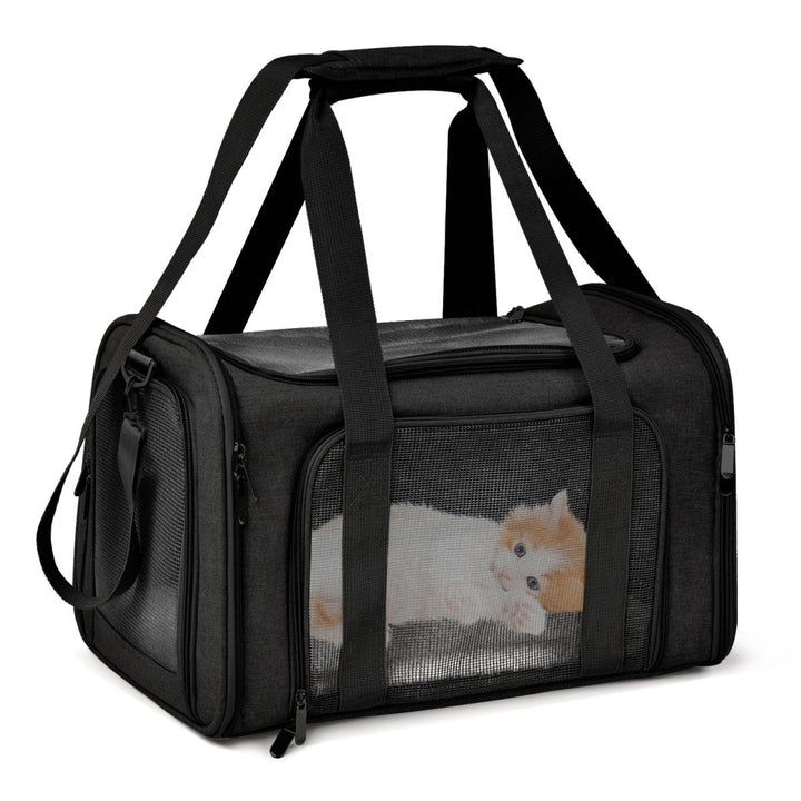 Compact black pet carrier, airline compliant and soft-sided, ideal for small dog transport.