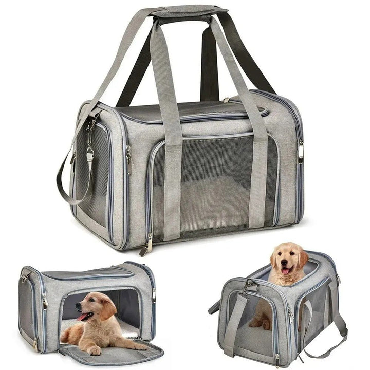 Black unisex pet carrier bag, airline compliant, for small to medium dogs, hands-free design.