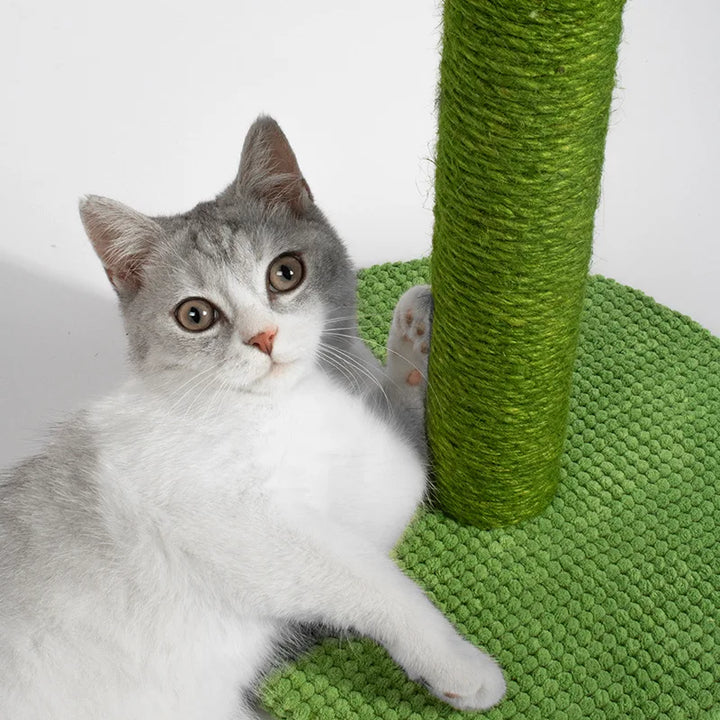 Close-up of the sisal rope on a cactus cat scratching post, showing texture for effective claw care.
