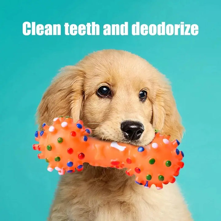 Purple textured dog toy, a dental chew ball for effective teeth cleaning and healthy gums in dogs.