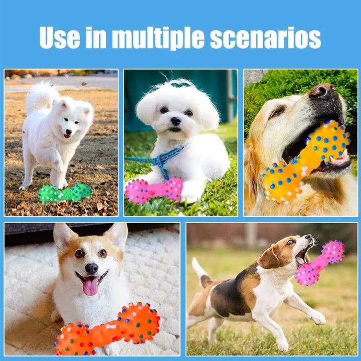 Orange dog dental chew ball, a durable teething toy for puppies and adult dogs, enhancing fresh breath.