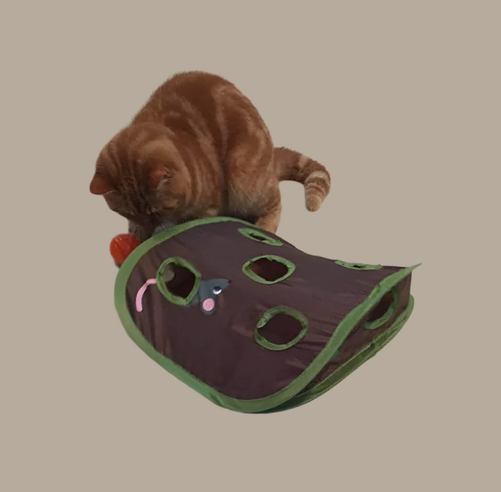 Cat supplies: green interactive play cave with included toys, perfect for feline fun and enrichment.