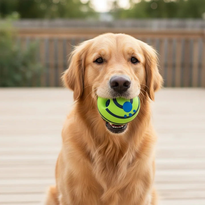Close-up of a vibrant green interactive dog toy ball, perfect for active pets