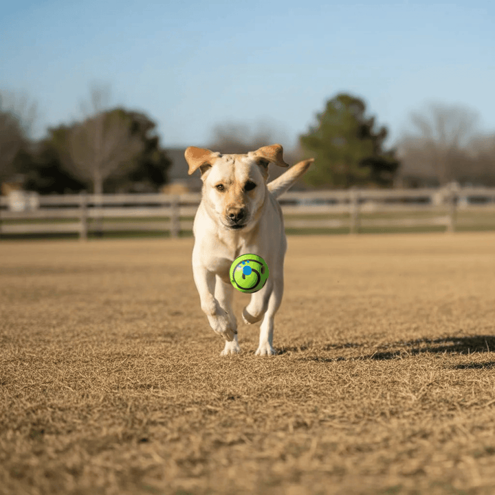 Interactive green dog toy ball with sound feature, ideal for engagement and exercise