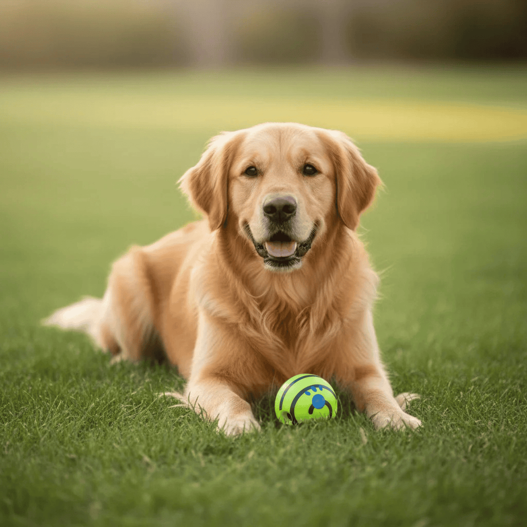 Green interactive dog toy ball, promoting healthy play for dogs, outdoor friendly