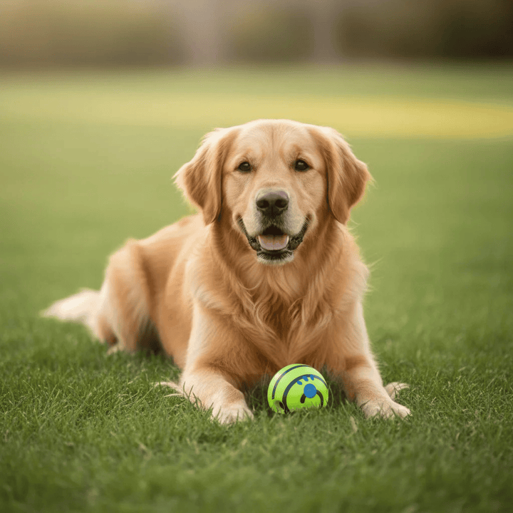 Green interactive dog toy ball, promoting healthy play for dogs, outdoor friendly