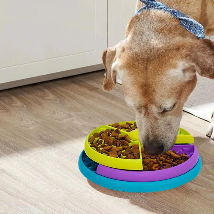 Overhead view of a purple interactive puzzle feeder bowl, designed for pet health and slower eating experience