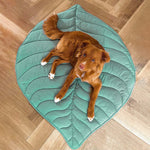 Elm Green - 42*56 in