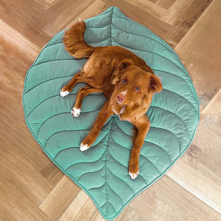 Large green leaf pet blanket, protects furniture, comfortable for pets.