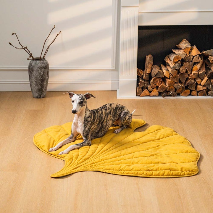 Leaf shape pet mat and blanket, soft and inviting for cats and dogs. Pet accessories.