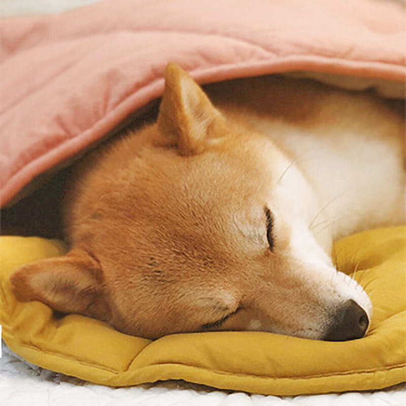 Machine washable leaf-shaped pet blanket. A soft dog mat and cat bed alternative.