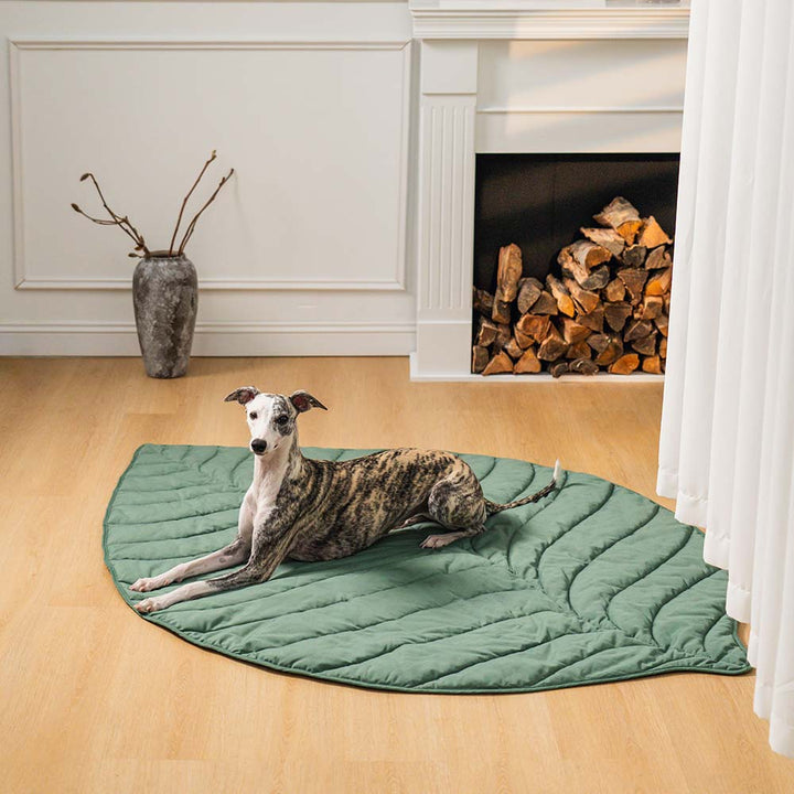 Machine washable leaf pet bed and blanket for easy maintenance and comfort.