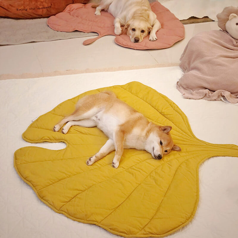 Unisex leaf design pet blanket, perfect as a dog mat or cat bed. Home decor accent.