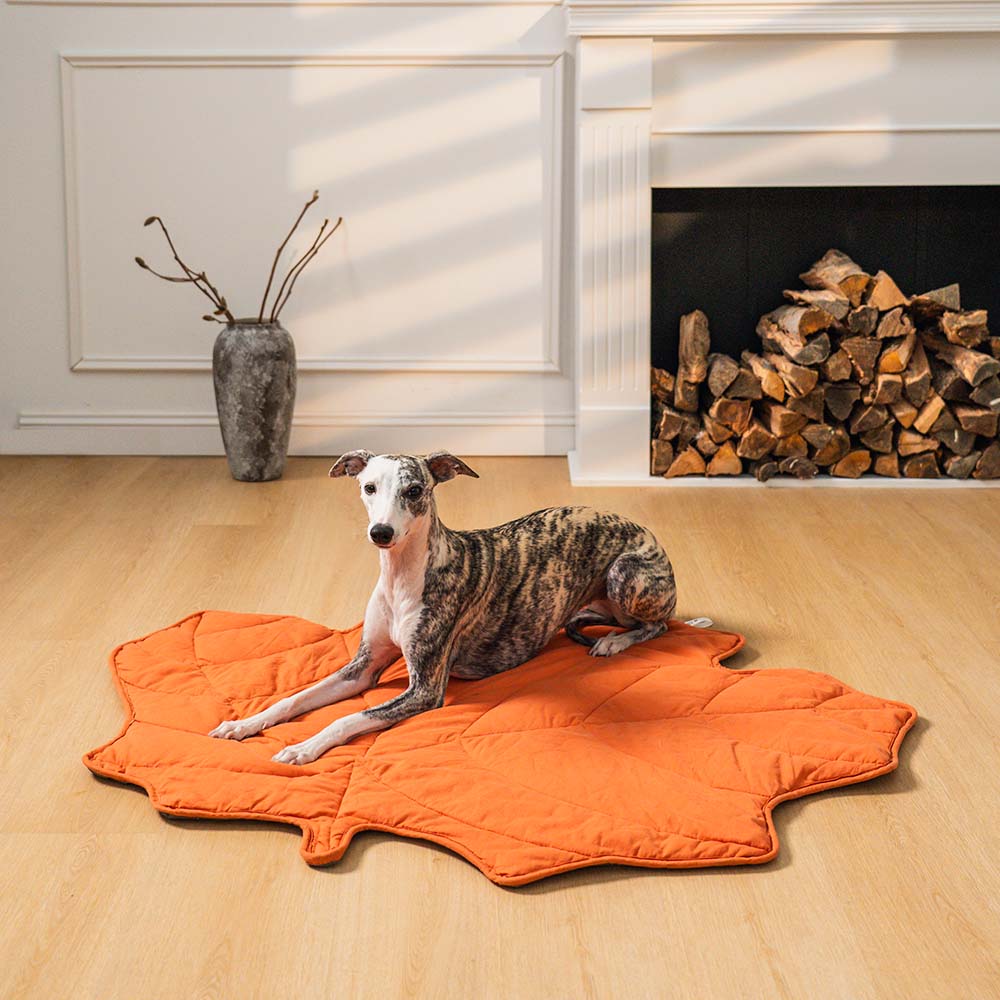 Leaf-shaped pet mat & blanket, a comfortable spot for dogs and cats to relax.