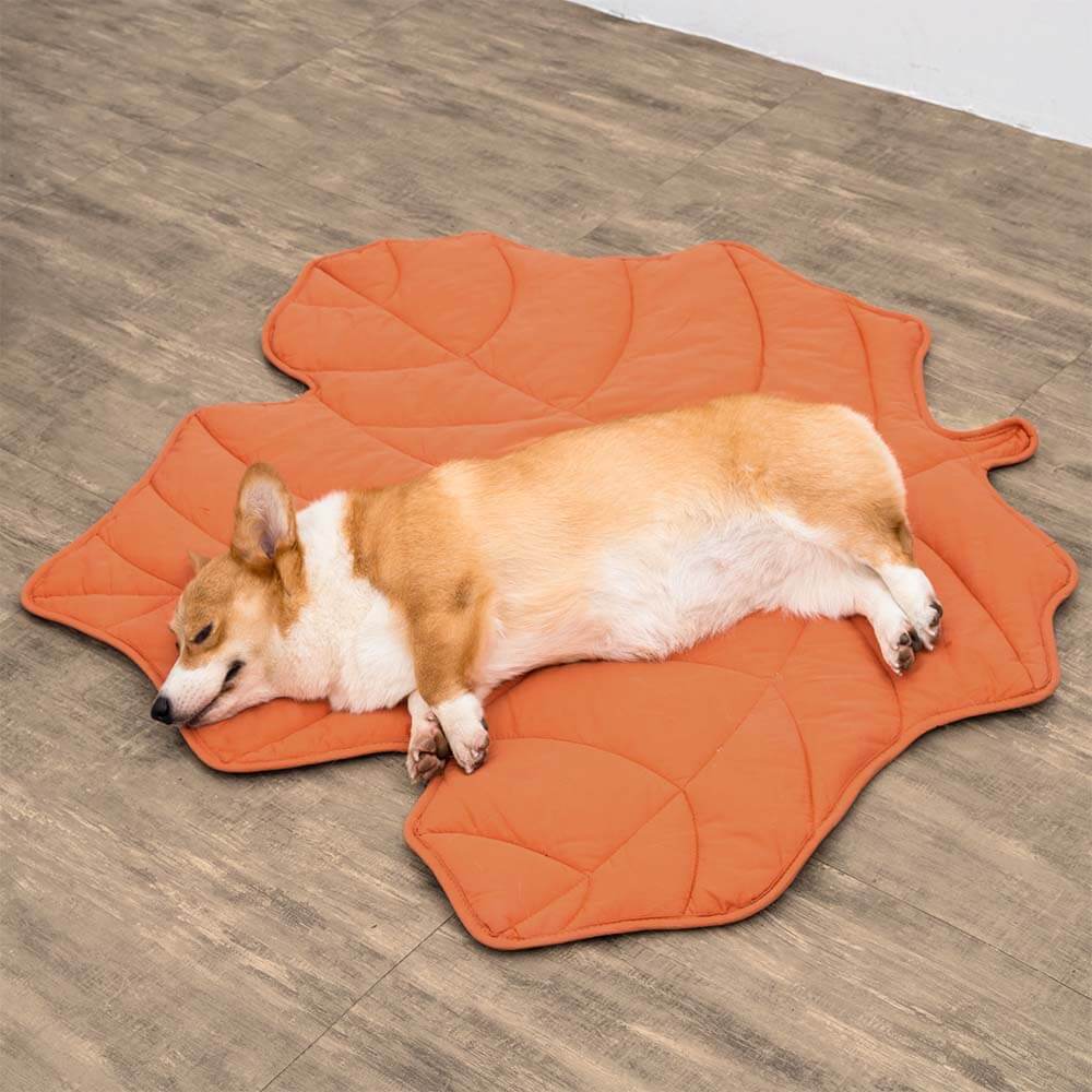 Green leaf pet blanket, versatile as a dog mat, cat bed, or couch protector.