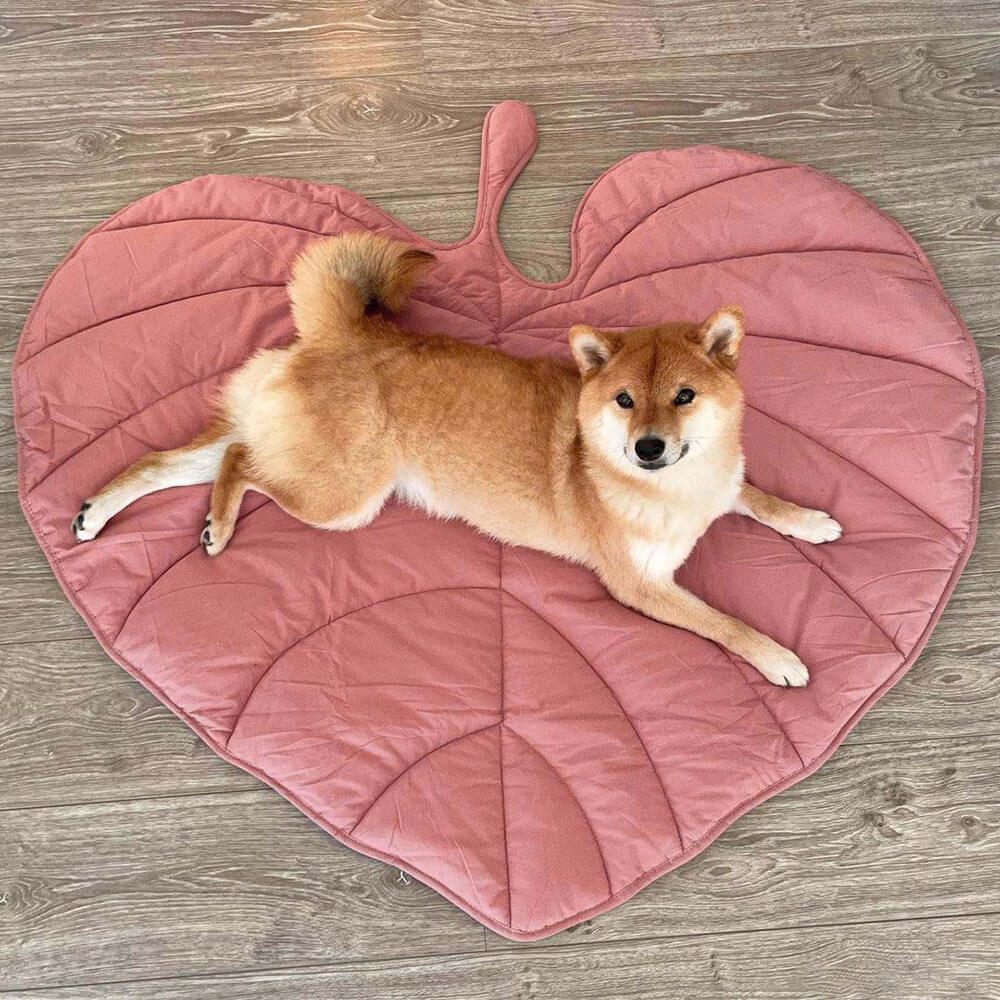 Cozy leaf shape pet accessory, a soft blanket and mat for pets. Easy care.