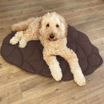 Pinecone Brown - 38*48 in