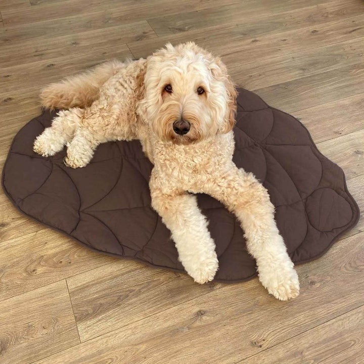 Machine washable leaf pet mat & blanket, excellent for dogs and cats. Home decor.