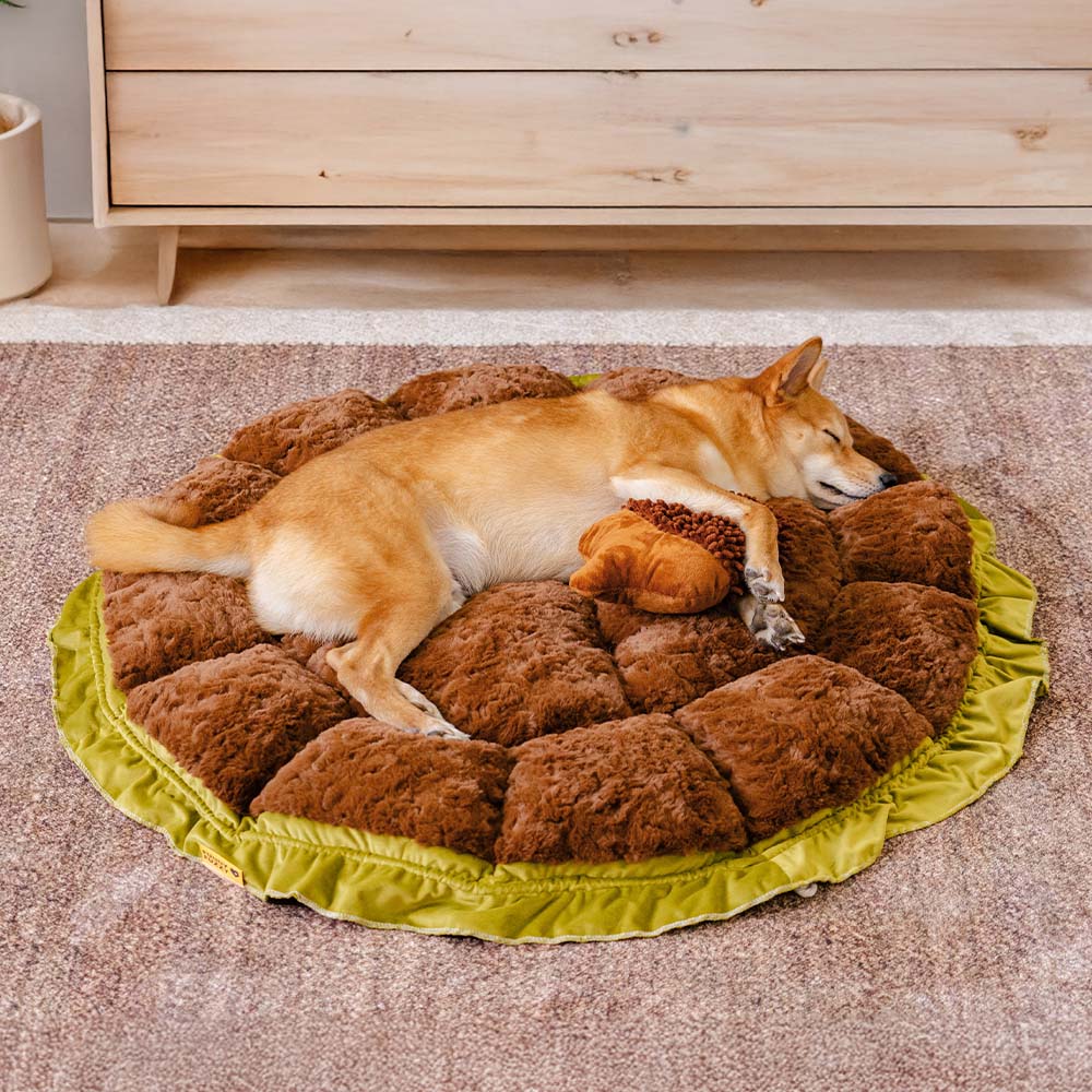 Soft blue dog bed, adjustable pet nest, provides calming comfort for animals.