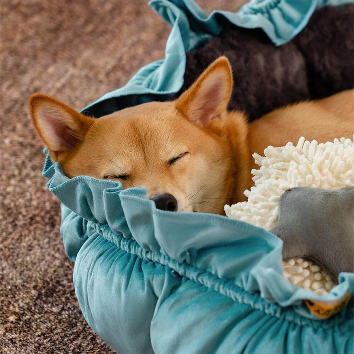 Green adjustable dog bed, plush and calming, perfect for a cozy animal nest.