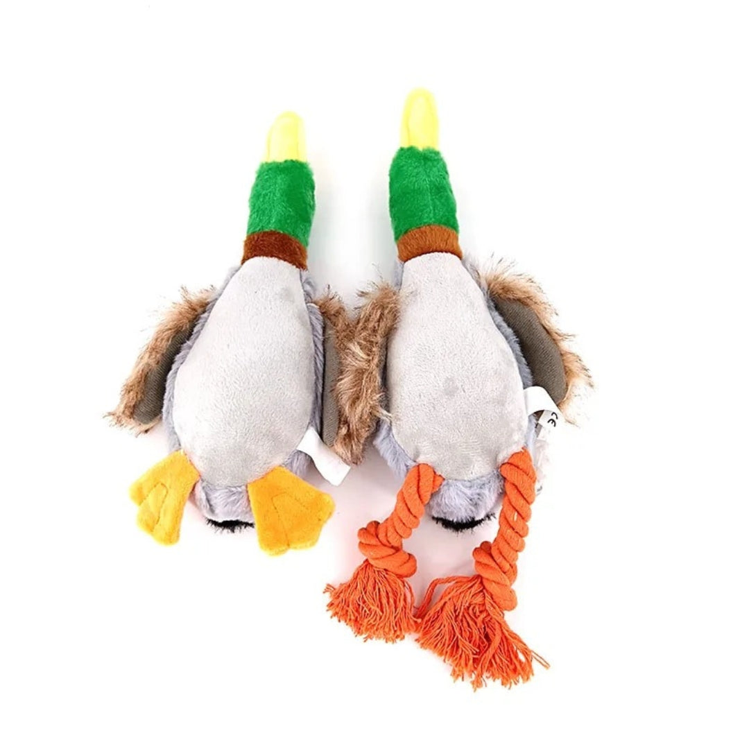 Dental cleaning green fleece duck dog toy, a squeaky durable plush toy for happy, healthy dogs
