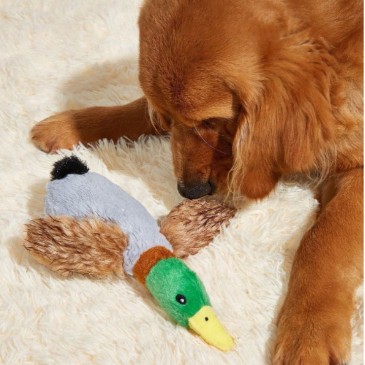 Plush squeaky duck dog chew toy in green, designed for dental cleaning and hours of play