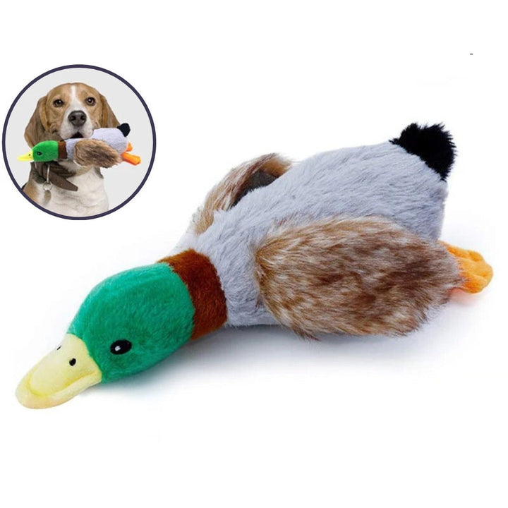 Green plush duck dog toy, a squeaky chew toy for dental cleaning & pet entertainment