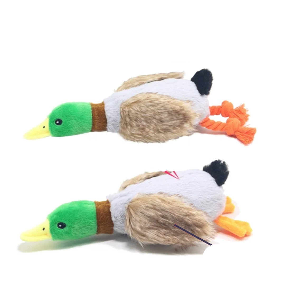 Adorable green duck plush squeaky toy for dogs, promotes dental health & satisfies chew instincts