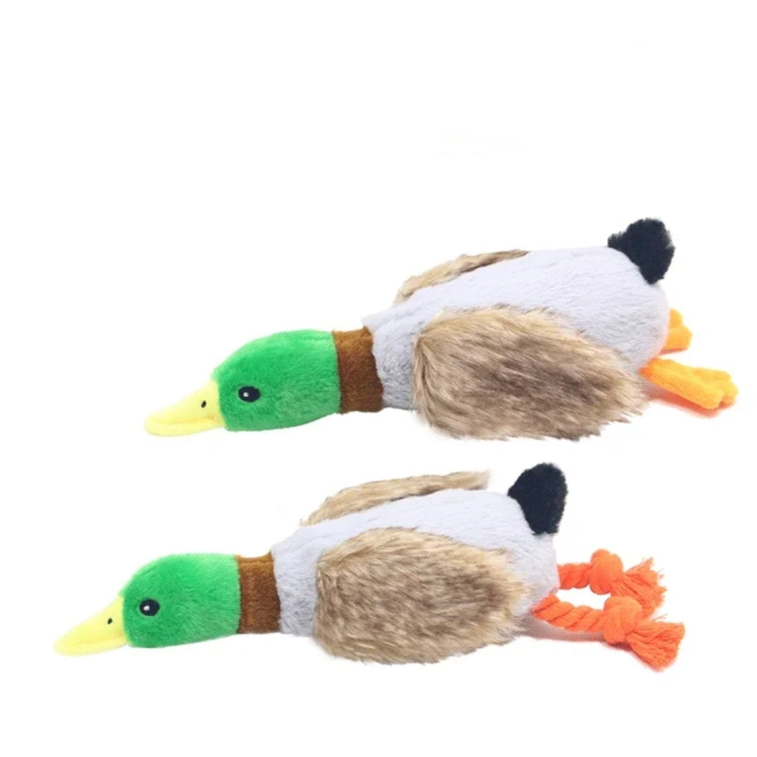 Soft green plush duck squeaky dog toy, ideal for dental cleaning and interactive pet play