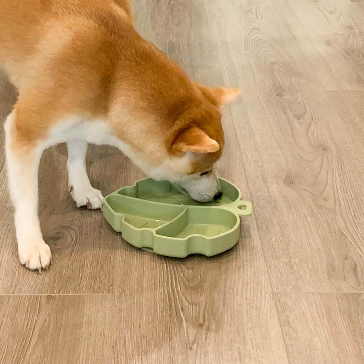 Unisex pet bowl, silicone leaf design, suction cup, prevents spills for dog feeding
