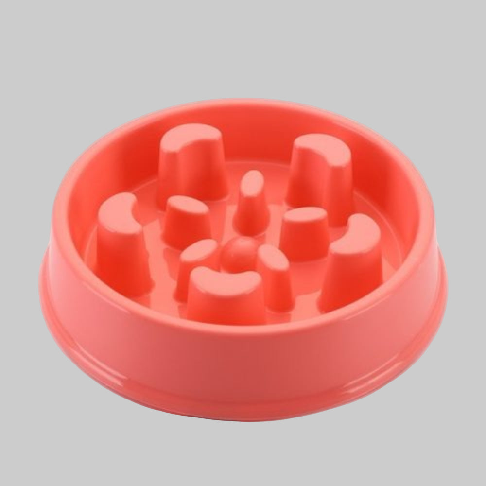 New4 pet supplies: Unisex slow feeder dog bowl for improved digestion, anti-choke