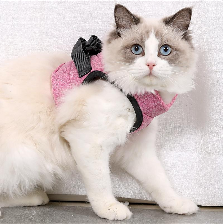 Illustration of how to properly fit an adjustable cat harness on a feline for comfortable walking.
