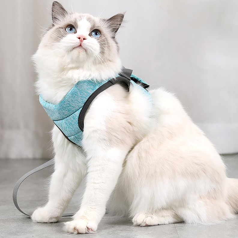 Collection of colorful breathable mesh cat harnesses & leashes, ideal for walking cats.