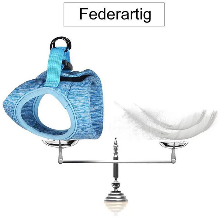 Adjustable turquoise cat harness with reflective strips and matching leash for feline safety.