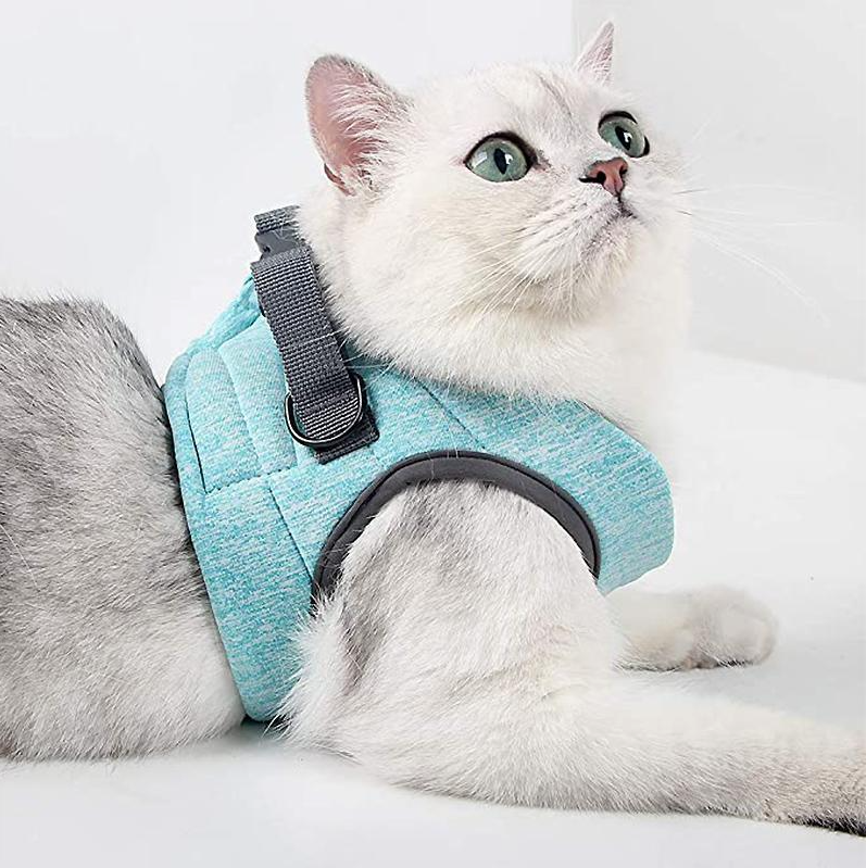 Front view of black breathable mesh cat harness, showcasing buckles and sturdy D-ring.